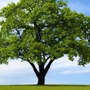 Meet your Posher, Pablo